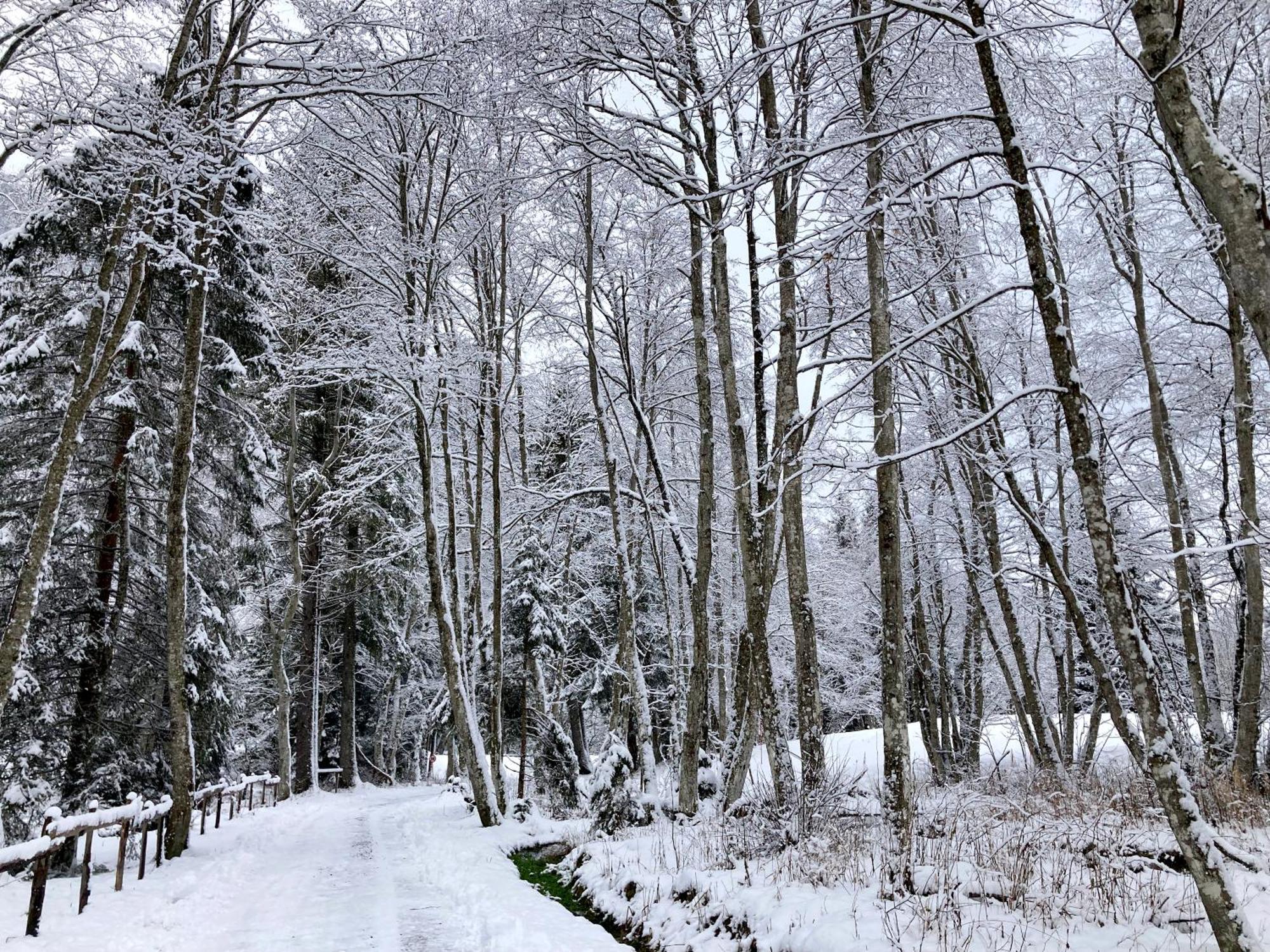מלון לה קונטמין מונז'ואה La Ferme Du Praz מראה חיצוני תמונה