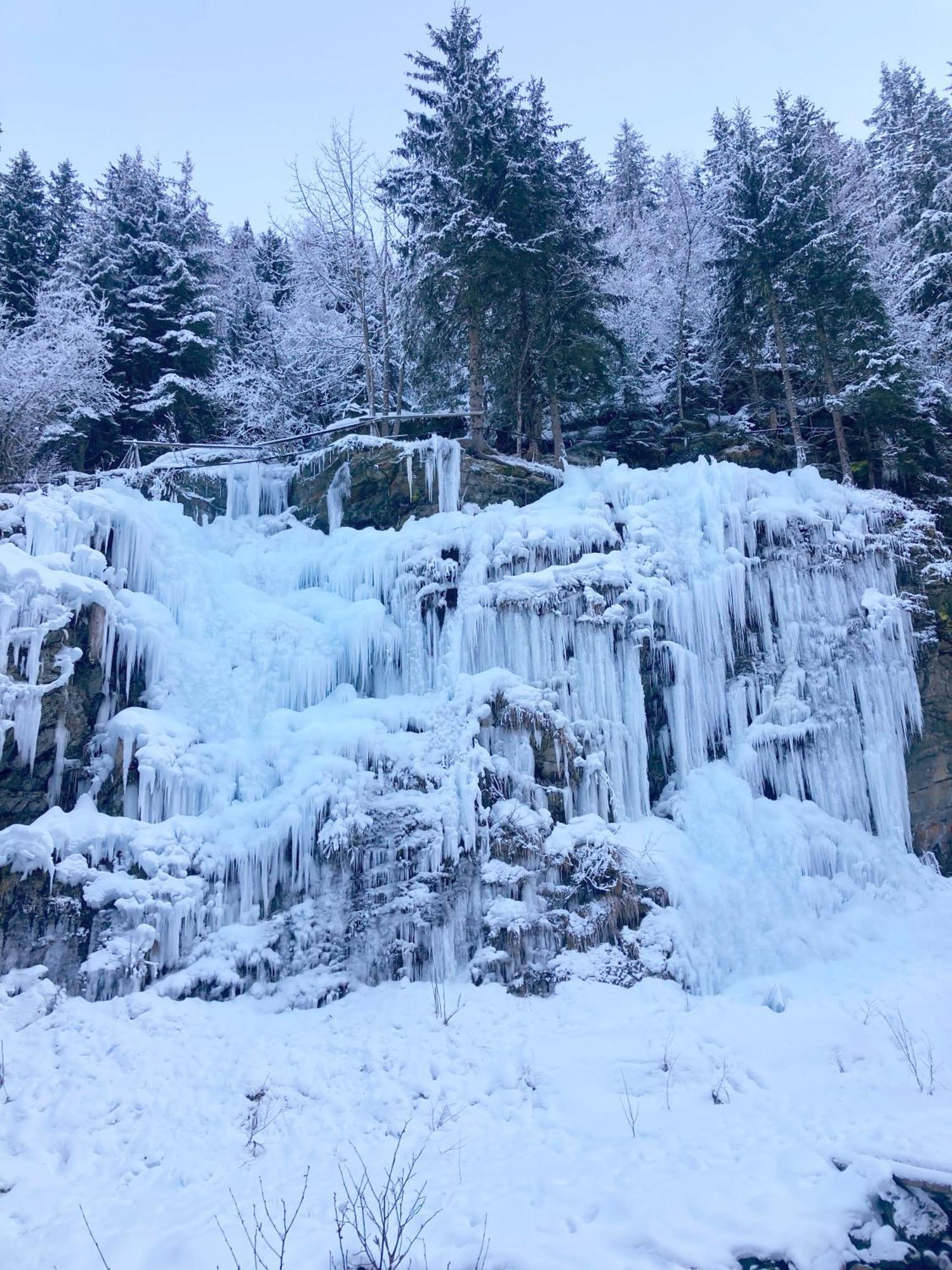 מלון לה קונטמין מונז'ואה La Ferme Du Praz מראה חיצוני תמונה